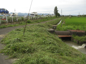 農道の草刈り